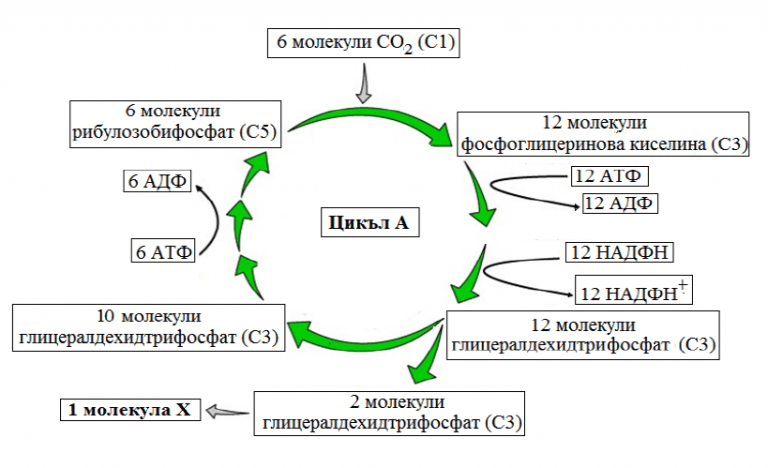 Загадочная схема каламити